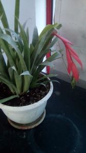 IMG-20191219-WA0004