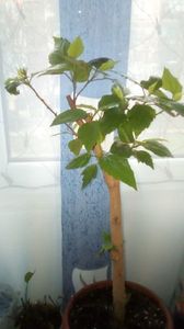 IMG-20191227-WA0009