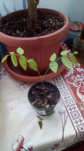 IMG-20191227-WA0012