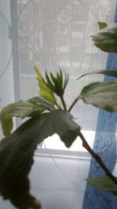 IMG-20191227-WA0022