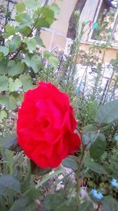 IMG-20200516-WA0010