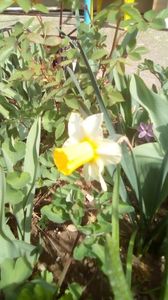 IMG-20200405-WA0069