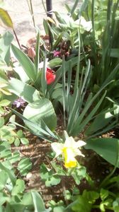 IMG-20200405-WA0070