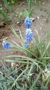 IMG-20200405-WA0075