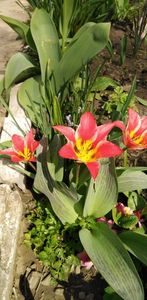 IMG-20200405-WA0094
