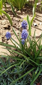 IMG-20200405-WA0111