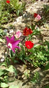 IMG-20200407-WA0023
