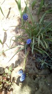 IMG-20200407-WA0025