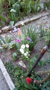 IMG-20200408-WA0000