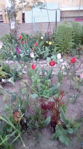 IMG-20200408-WA0014