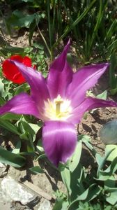 IMG-20200410-WA0019