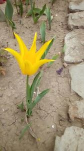 IMG-20200414-WA0018