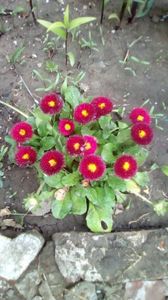 IMG-20200419-WA0089