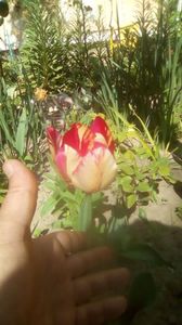 IMG-20200421-WA0020