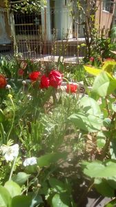 IMG-20200422-WA0010