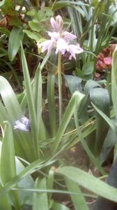 IMG-20200423-WA0000