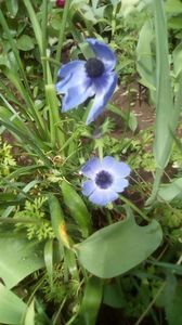 IMG-20200426-WA0047