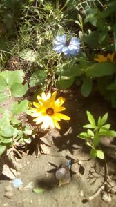 IMG-20200525-WA0010