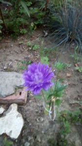IMG-20200818-WA0004