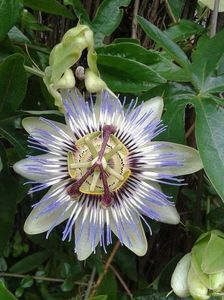 IMG-20200912-WA0004