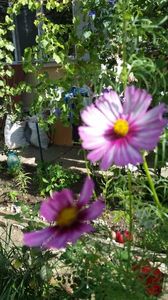 IMG-20200926-WA0007