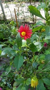 IMG-20200926-WA0011