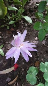 IMG-20200928-WA0000