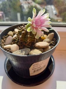 IMG-20200907-WA0037