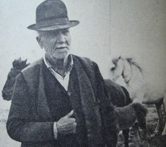 Apa Ca Un Bivol Negru