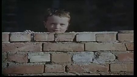 Apa Ca Un Bivol Negru