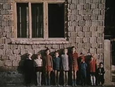 Apa Ca Un Bivol Negru