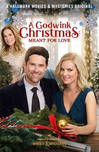 A Godwink Christmas Meant for love