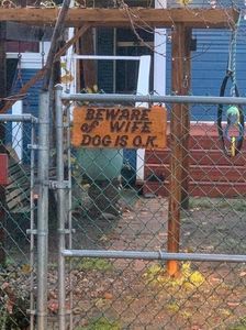 IMG-20201123-WA0006