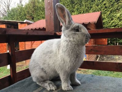 09663FB3-DA55-4E5C-BE0C-28DEF0CC08DD