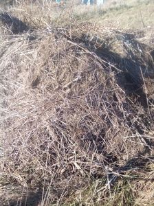 6compost lemn,fan,etc