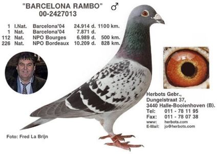 1 int Barcelona 2004 Vrosch Meijers; 1 int Barcelona 2004 Vrosch Meijers
