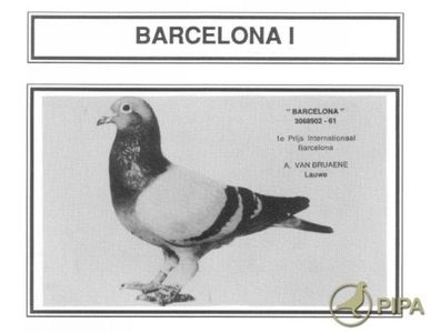 1 int Barcelona 1966; 1 int Barcelona 1966
