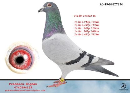 RO-19-948273 M - 150 ron