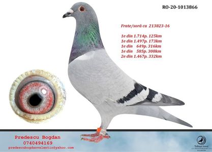 RO-20-1013866