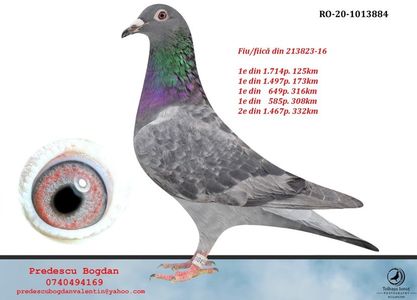 RO-20-1013884