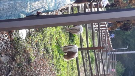 20190908_172742(0)