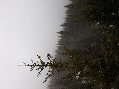-40275944944999523280.2 (1)