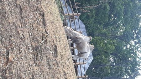 20190908_172734(0)