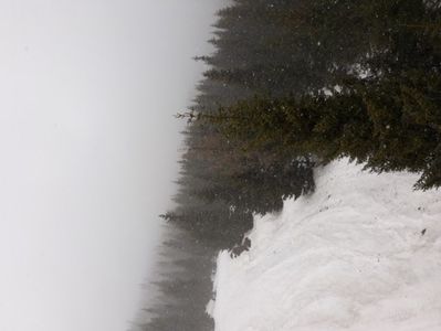 -51932101371861516420.2 (1)