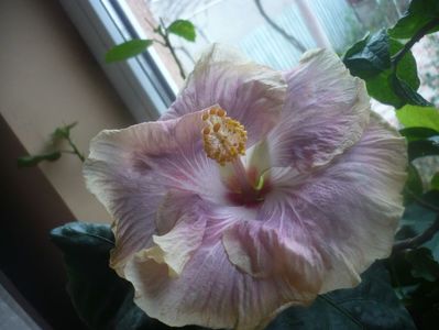 P1470351