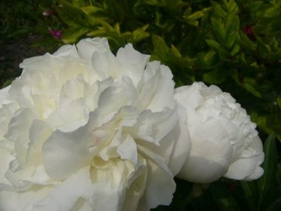 P1370202