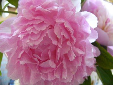 P1370228