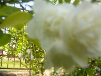 P1370281