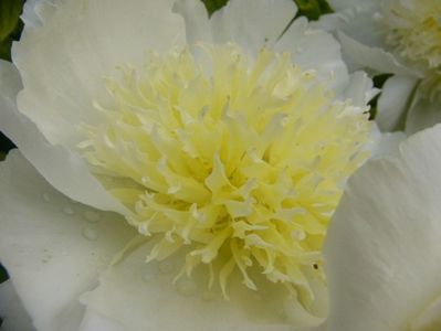 P1370326