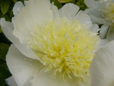 P1370328